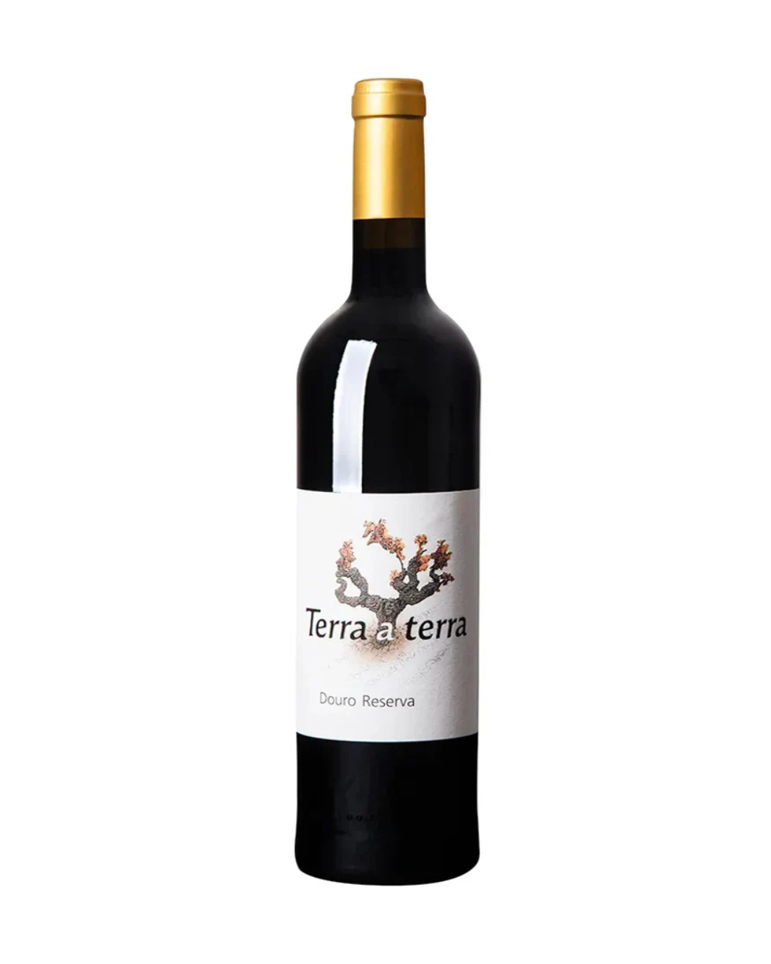 Terra A Terra Reserva Tinto 2022